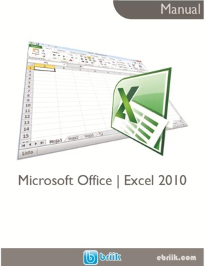 Manual Office | Excel 2010